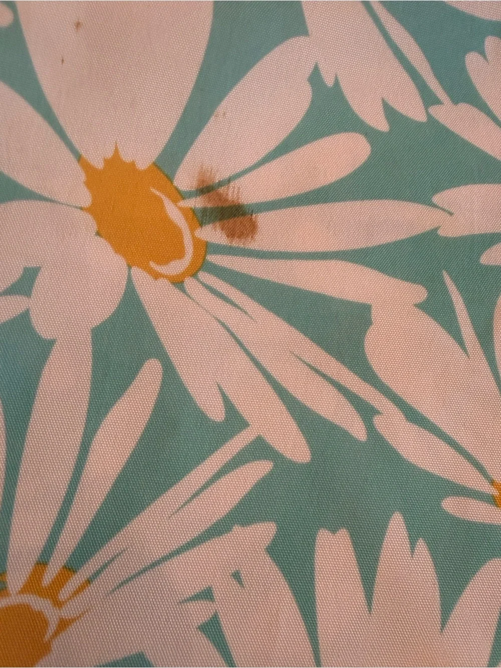 Isaac Mizrahi bright green